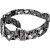 Country Brook Petz Phantom Skulls Martingale Dog Collar (1 Inch, Medium) 16 Country Brook Petz Phantom Skulls Martingale Dog Collar (1 Inch, Medium) -Country Brook Petz Store GUEST 01edc17f e974 4e96 93b8 14f7a342b9c8