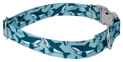 Country Brook Petz Premium Sharks Dog Collar 3 Country Brook Petz Premium Sharks Dog Collar - Image 3