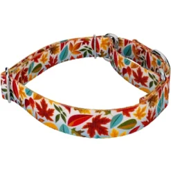 Country Brook Petz Brisk Autumn Martingale Dog Collar -Country Brook Petz Store GUEST 06ddc9a7 3173 49a9 8413 9498a229005d