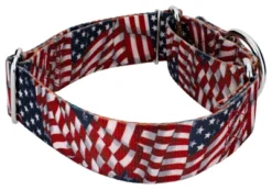 Country Brook Petz 1 1/2 Inch Patriotic Tribute Martingale Dog Collar 10 Country Brook Petz 1 1/2 Inch Patriotic Tribute Martingale Dog Collar -Country Brook Petz Store GUEST 08addb4e 7c08 42ad 8e73 1492d0cf5d93