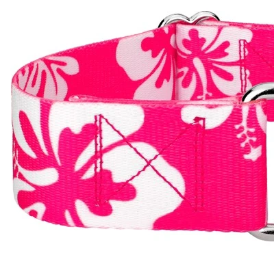Country Brook Petz 1 1/2 Inch Pink Hawaiian Martingale Dog Collar 5 Country Brook Petz 1 1/2 Inch Pink Hawaiian Martingale Dog Collar - Image 5