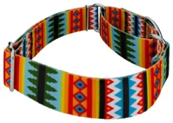 Country Brook Petz 1 1/2 Inch Summer Pines Martingale Dog Collar 13 Country Brook Petz 1 1/2 Inch Summer Pines Martingale Dog Collar -Country Brook Petz Store GUEST 0a0142cd 63d2 4eab 8352 b1fadec0d221