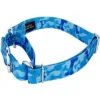 Country Brook Petz Blue Bone Camo Martingale Dog Collar -Country Brook Petz Store GUEST 0bc09686 3c9c 4794 822a 1b92ed6558bf