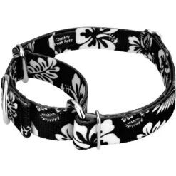 Country Brook Petz - Black Hawaiian Martingale Dog Collar 9 Country Brook Petz - Black Hawaiian Martingale Dog Collar -Country Brook Petz Store GUEST 0e3d70f5 f401 4097 9df8 c3fa41e79513
