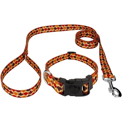 Country Brook Petz Deluxe Collar And Leash - Awesome Autumn Collection 5 Country Brook Petz Deluxe Collar And Leash - Awesome Autumn Collection - Image 5