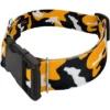 Country Brook Petz HossFit Jr Wide Deluxe Dog Collar - Sports And Athletics Collection -Country Brook Petz Store GUEST 0fa7bb05 6bc2 466d b9cc d623d89c0d20