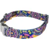 Country Brook Petz Premium Dog Collar - Groovy Collection -Country Brook Petz Store GUEST 10e11ad6 bc8d 4a97 b578 3d54c7069afe