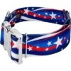 Country Brook Petz 1 1/2 Inch Premium Star Spangled Dog Collar -Country Brook Petz Store GUEST 116d9db5 509b 43b8 afb0 64e871e633a0