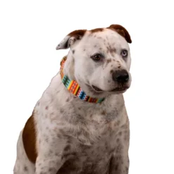 Country Brook Petz 1 1/2 Inch Summer Pines Martingale Dog Collar