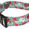 Country Brook Petz 1 1/2 Inch Deluxe Vintage Roses Dog Collar