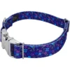 Country Brook Petz Premium Dog Collar - Floral Collection 13 Country Brook Petz Premium Dog Collar - Floral Collection -Country Brook Petz Store GUEST 14f36020 9705 4915 b09c acc61d8d9254