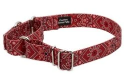 Country Brook Petz Red Bandana Martingale Dog Collar -Country Brook Petz Store GUEST 1538919c 28ff 4196 8582 bfdffa15ea5b