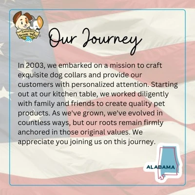 Country Brook Petz 4 Foot Dog Leash - Animal Prints Collection 3 Country Brook Petz 4 Foot Dog Leash - Animal Prints Collection - Image 3