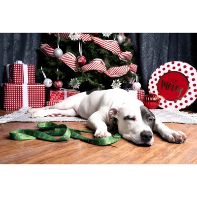 County Brook Petz Premium Dog Collar And Leash - Christmas Collection 1 County Brook Petz Premium Dog Collar And Leash - Christmas Collection