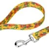 Country Brook Petz Tropical Floral Dog Leash (6 Foot, 1/2 Inch) 4 Country Brook Petz Tropical Floral Dog Leash (6 Foot, 1/2 Inch) -Country Brook Petz Store GUEST 1f580f87 3f4d 4697 aade ba9adccdb2bf 2