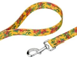 Country Brook Petz Tropical Floral Dog Leash (6 Foot, 1/2 Inch)