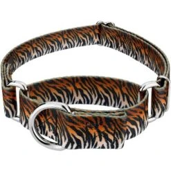Country Brook Petz - Bengal Tiger Stripes Martingale Dog Collar 10 Country Brook Petz - Bengal Tiger Stripes Martingale Dog Collar -Country Brook Petz Store GUEST 1fe8cd87 4dfd 4a93 a1d1 88ce7bc8ca49