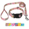 Country Brook Petz Deluxe Collar And Leash - Spring Collection -Country Brook Petz Store GUEST 2855c36b 502d 454c 9529 5c985b2d1274