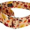 Country Brook Petz 1 1/2 Inch Fall Foliage Martingale Dog Collar -Country Brook Petz Store GUEST 2a88a47b 7fcf 4d4e 9fe5 5ea961bcc102