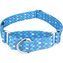 Country Brook Petz - Mermaid Scales Martingale Dog Collar 19 Country Brook Petz - Mermaid Scales Martingale Dog Collar -Country Brook Petz Store GUEST 2a8da6fe 294d 4f59 90fe 81bc24eec4d7