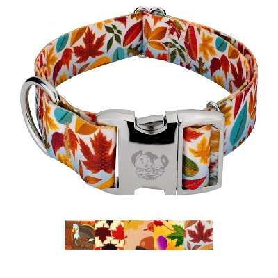 Country Brook Petz HossFit Jr Wide Premium Dog Collar - Awesome Autumn Collection 4 Country Brook Petz HossFit Jr Wide Premium Dog Collar - Awesome Autumn Collection - Image 4