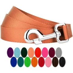 Country Brook Petz 6ft By 3/4 Inch Heavyduty Doublehandle Nylon Leash 29 Country Brook Petz 6ft By 3/4 Inch Heavyduty Doublehandle Nylon Leash -Country Brook Petz Store GUEST 2c153a2e c978 42a9 8eb5 f17545cd4344