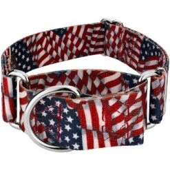 Country Brook Petz 1 1/2 Inch Patriotic Tribute Martingale Dog Collar 13 Country Brook Petz 1 1/2 Inch Patriotic Tribute Martingale Dog Collar -Country Brook Petz Store GUEST 2da03622 3ce3 4396 af01 2cce7633420f 1