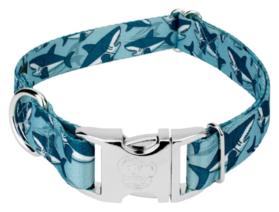 Country Brook Petz Premium Sharks Dog Collar 5 Country Brook Petz Premium Sharks Dog Collar - Image 5