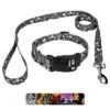 Country Brook Petz Deluxe Collar And Leash - Halloween Collection 8 Country Brook Petz Deluxe Collar And Leash - Halloween Collection -Country Brook Petz Store GUEST 2f50208c 876d 406c b69e aeab264604c4