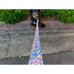 Country Brook Petz Deluxe Reflective Dog Leash 6 Foot Length