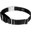 Country Brook Petz Heavyduty Nylon Martingale With Premium Buckle 5 Country Brook Petz Heavyduty Nylon Martingale With Premium Buckle -Country Brook Petz Store GUEST 30acfc5d 9098 49e4 a4f7 efa396e925cc