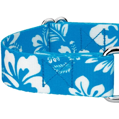 Country Brook Design - Blue Hawaiian Martingale Dog Collar 3 Country Brook Design - Blue Hawaiian Martingale Dog Collar - Image 3