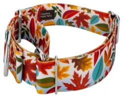 Country Brook Petz 1 1/2 Inch Brisk Autumn Martingale Dog Collar