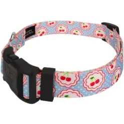 Country Brook Petz Deluxe Cherry On Top Dog Collar And Leash Limited Edition