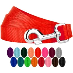 Country Brook Petz 6ft By 1 Inch Heavyduty Doublehandle Nylon Leash 35 Country Brook Petz 6ft By 1 Inch Heavyduty Doublehandle Nylon Leash -Country Brook Petz Store GUEST 3ce56113 4709 4b37 b0da 99faccc91135