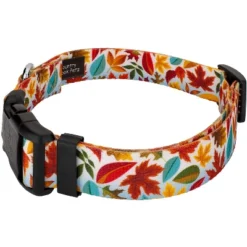 Country Brook Petz Deluxe Collar And Leash - Awesome Autumn Collection