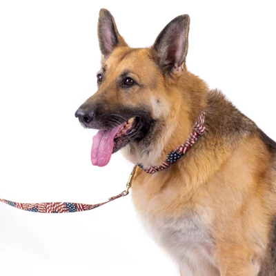 Country Brook Petz 1 1/2 Inch Patriotic Tribute Martingale Dog Collar 2 Country Brook Petz 1 1/2 Inch Patriotic Tribute Martingale Dog Collar - Image 2