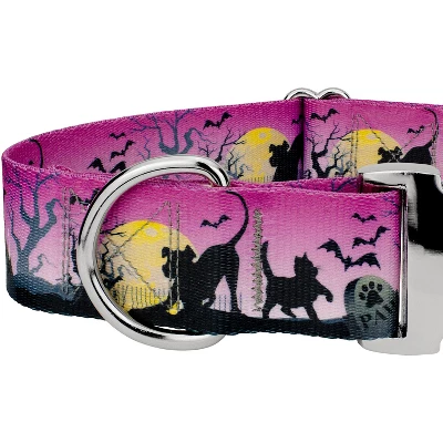 Country Brook Petz HossFit Jr Wide Premium Dog Collar - Halloween Collection 3 Country Brook Petz HossFit Jr Wide Premium Dog Collar - Halloween Collection - Image 3
