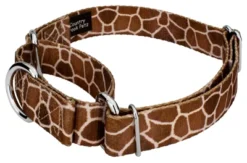 Country Brook Petz Giraffe Martingale Dog Collar -Country Brook Petz Store GUEST 49ac07c6 ccd9 4527 8e74 fdaf6f7e5946