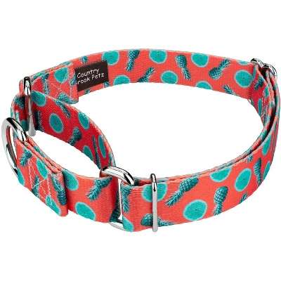 Country Brook Petz Tropical Tango Martingale Dog Collar 1 Country Brook Petz Tropical Tango Martingale Dog Collar