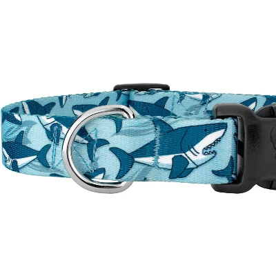 Country Brook Petz Deluxe Sharks Dog Collar And Leash 3 Country Brook Petz Deluxe Sharks Dog Collar And Leash - Image 3