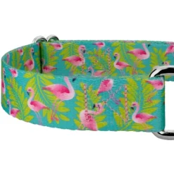 Country Brook Design - Flamingos Martingale Dog Collar -Country Brook Petz Store GUEST 501e8660 9838 4856 85bc 0ab31814693d