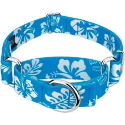 Country Brook Design - Blue Hawaiian Martingale Dog Collar 13 Country Brook Design - Blue Hawaiian Martingale Dog Collar -Country Brook Petz Store GUEST 52a97216 5a12 4f93 8419 3a0eb08d1a9f