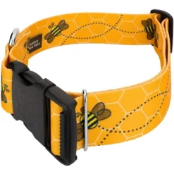 Country Brook Petz 1 1/2 Inch Deluxe Busy Bee Dog Collar (Extra Large)