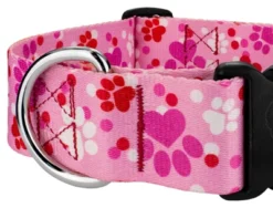 Country Brook Petz 1 1/2 Inch Deluxe Puppy Love Dog Collar 7 Country Brook Petz 1 1/2 Inch Deluxe Puppy Love Dog Collar -Country Brook Petz Store GUEST 558c7fa6 8577 45af bcb9 1f5d0baa3287
