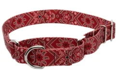 Country Brook Petz Red Bandana Martingale Dog Collar -Country Brook Petz Store GUEST 56309d68 a320 4960 8e4f 116c11becf41