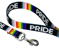 Country Brook Petz® 1 Inch Pride Dog Leash, 6 Foot