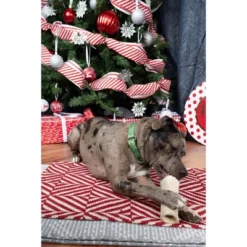 Country Brook Petz Candy Cane Christmas Martingale Dog Collar 12 Country Brook Petz Candy Cane Christmas Martingale Dog Collar -Country Brook Petz Store GUEST 58e0ee22 1004 4b34 b6b4 d744d4be29d3