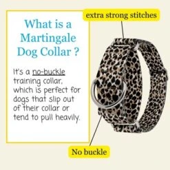 Country Brook Petz HossFit Jr Wide Martingale Dog Collar - Animal Print Collection -Country Brook Petz Store GUEST 59380cac 25f7 4736 aa8a 78325ef248e6