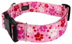Country Brook Petz 1 1/2 Inch Deluxe Puppy Love Dog Collar